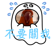 659455319