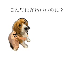 659462727