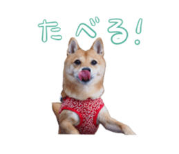 659481448
