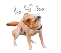 659481467