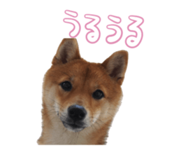 659481473
