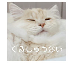 659481679