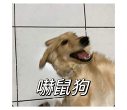 659512937