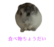 659524765