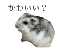 659524767