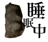 659524769