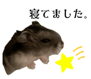 659524771