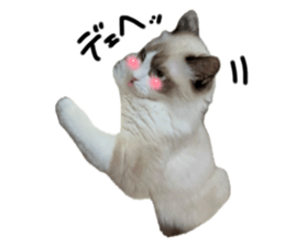 659534189