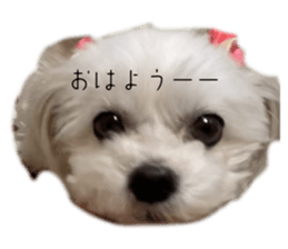 659548521