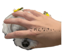 659548524