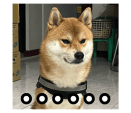 659583076