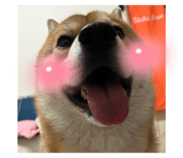 659583081