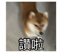 659583082