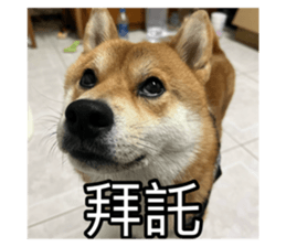 659583083