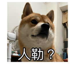 659583090