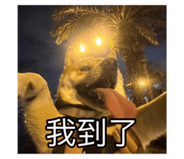 659583091