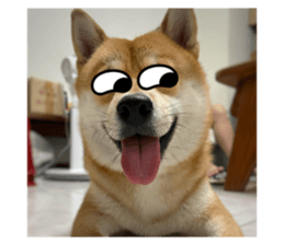 659583098