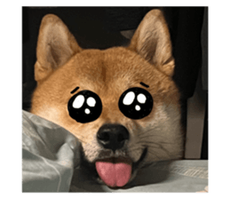 659583099