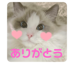 659586208