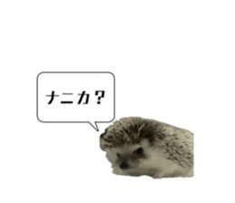 659588328