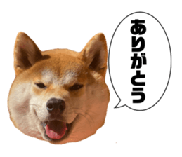 659600430