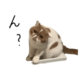 659601914