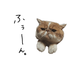 659601915