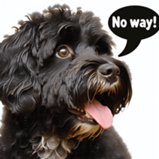 659605267