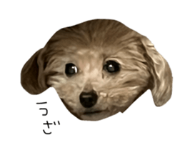 659607199