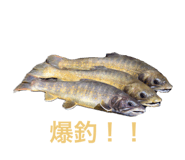 659607855