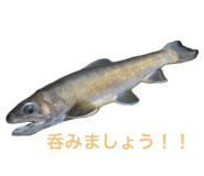 659607867