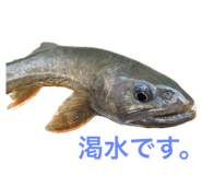 659607875