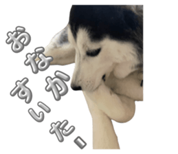 659630979
