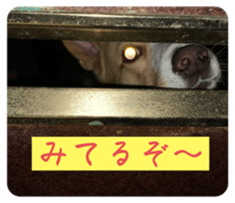 659636464