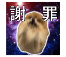 659646520