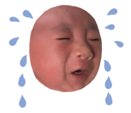 659647249