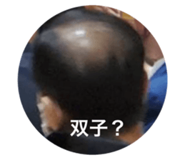 659748141