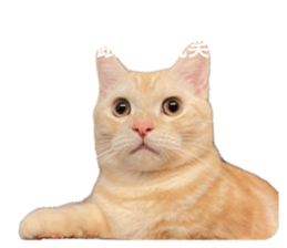 659756758