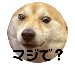 659786445
