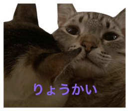 659844155