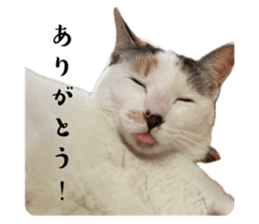 659845040