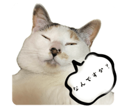659845045