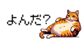 659851187