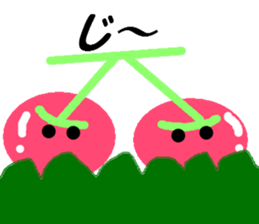 6598557