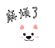 659865555