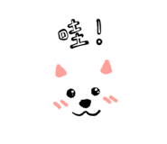 659906807