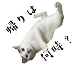 659921719