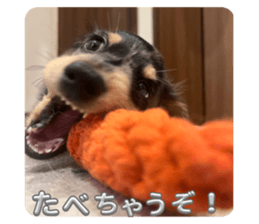 659922165