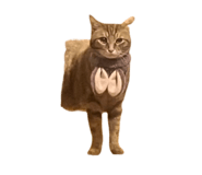 659927790