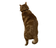 659927795